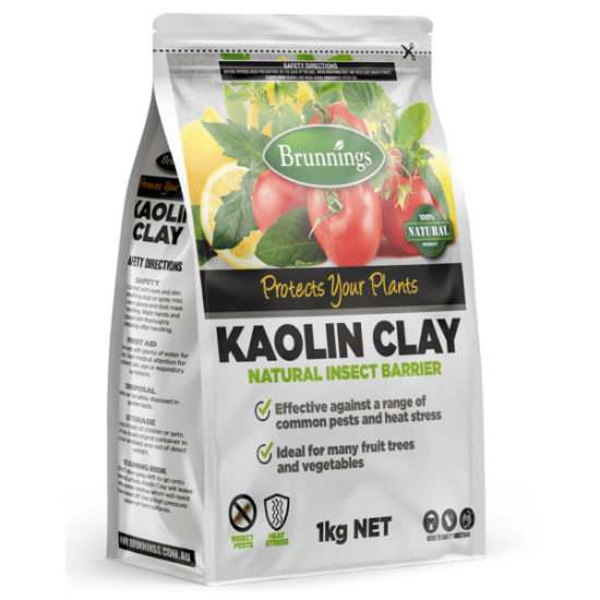 Picture of 1KG KAOLIN CLAY